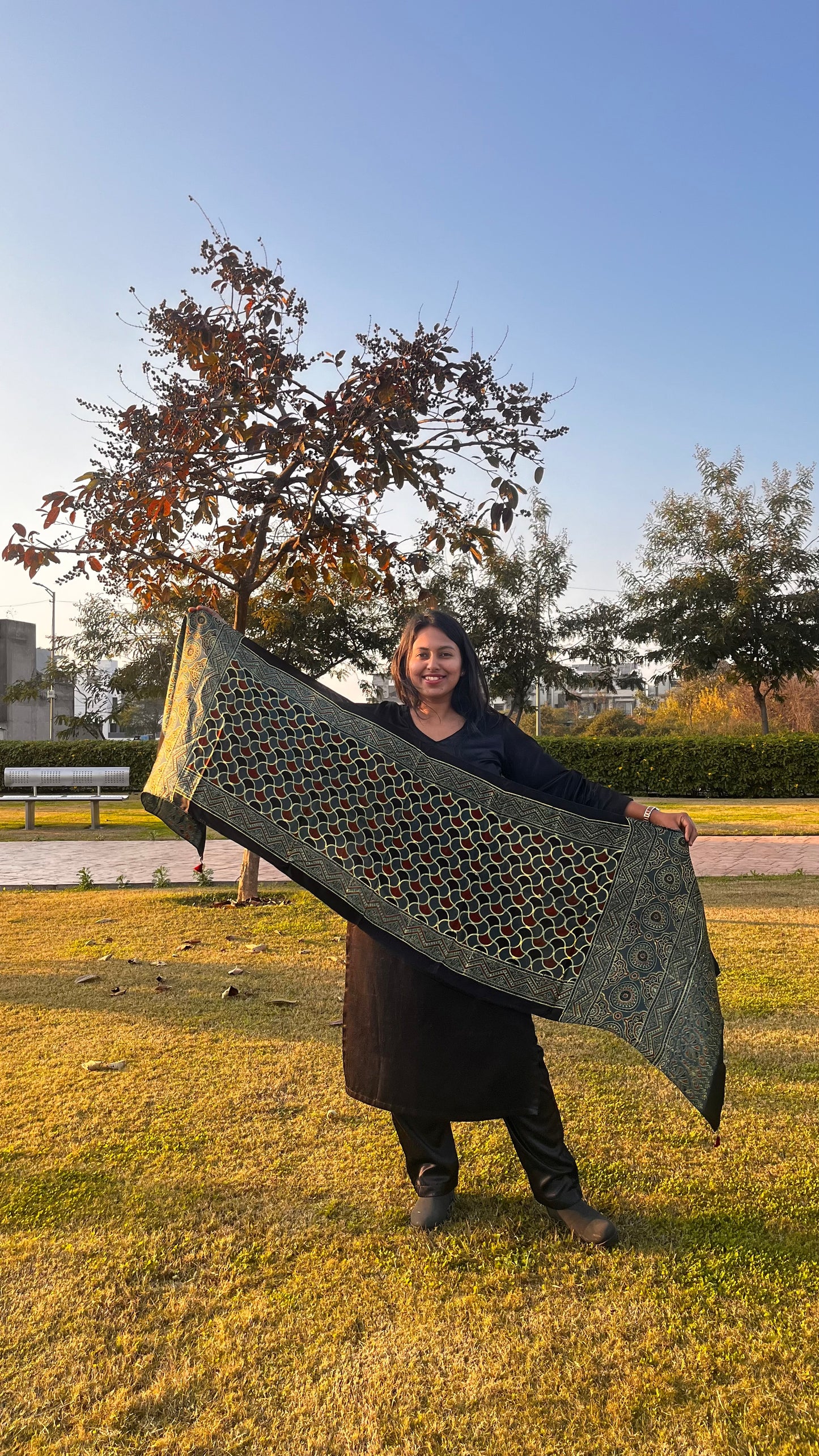 Green and Black Barfi Motif Ajrakh Hand Block Print Modal Silk Stole with Tassels