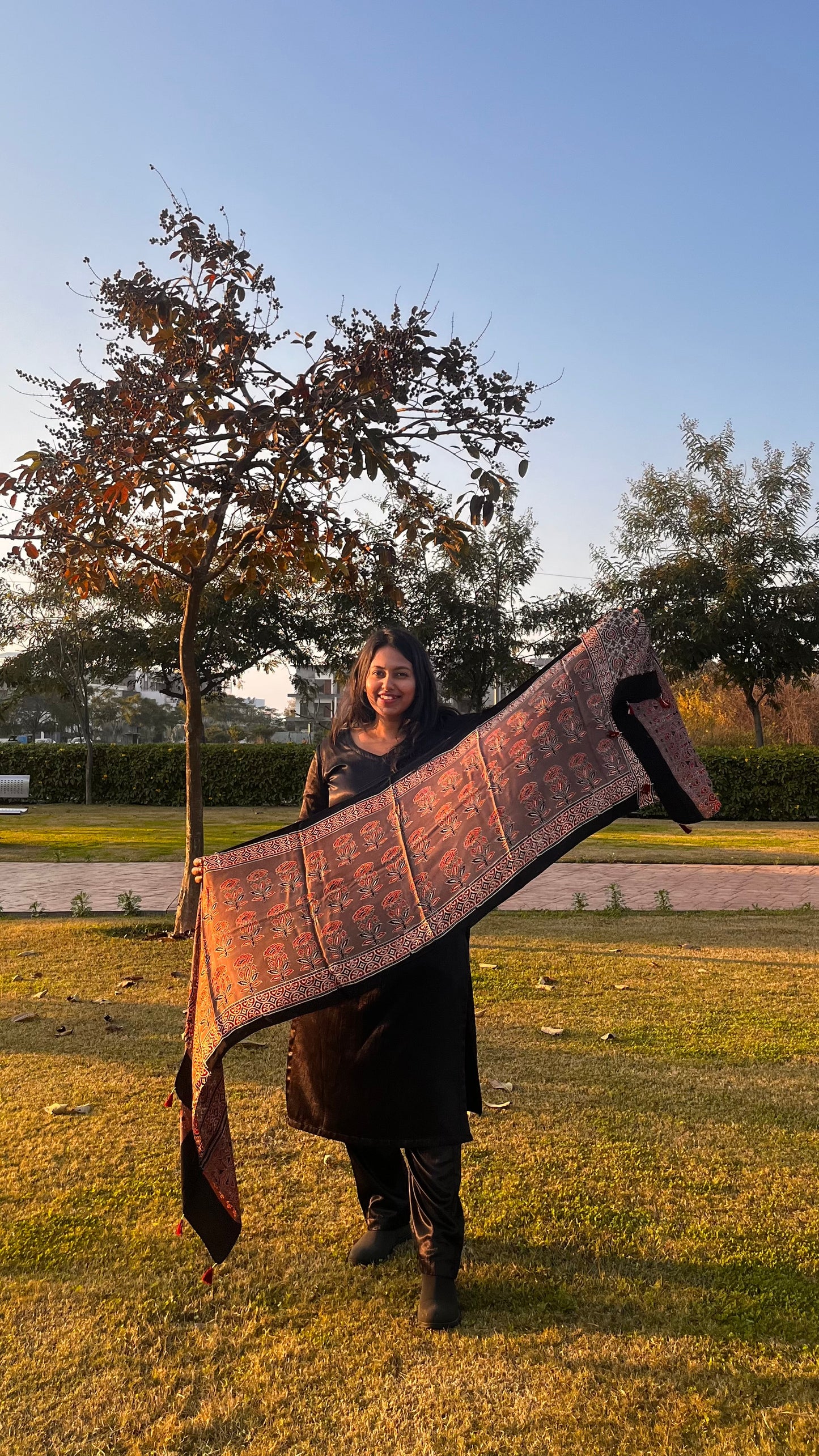 Rust Rasin Mugal Boota Pattern Ajrakh Hand Block Print Modal Silk Stole with Tassels