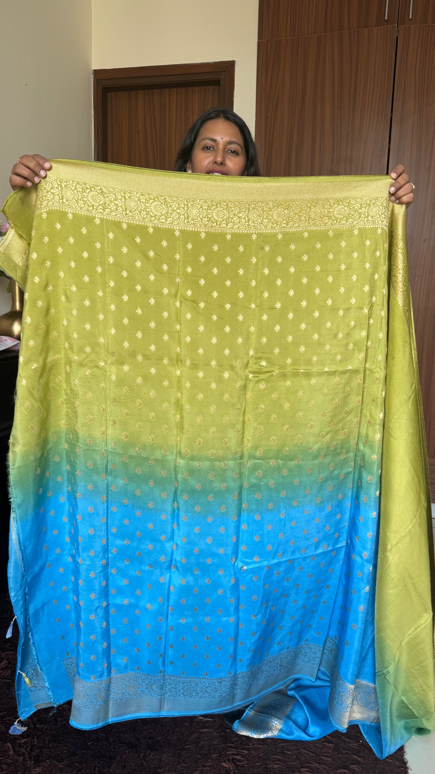 Green & Blue Dual Shade Dola Silk Saree with Zari Border and Pallu (With Blouse)