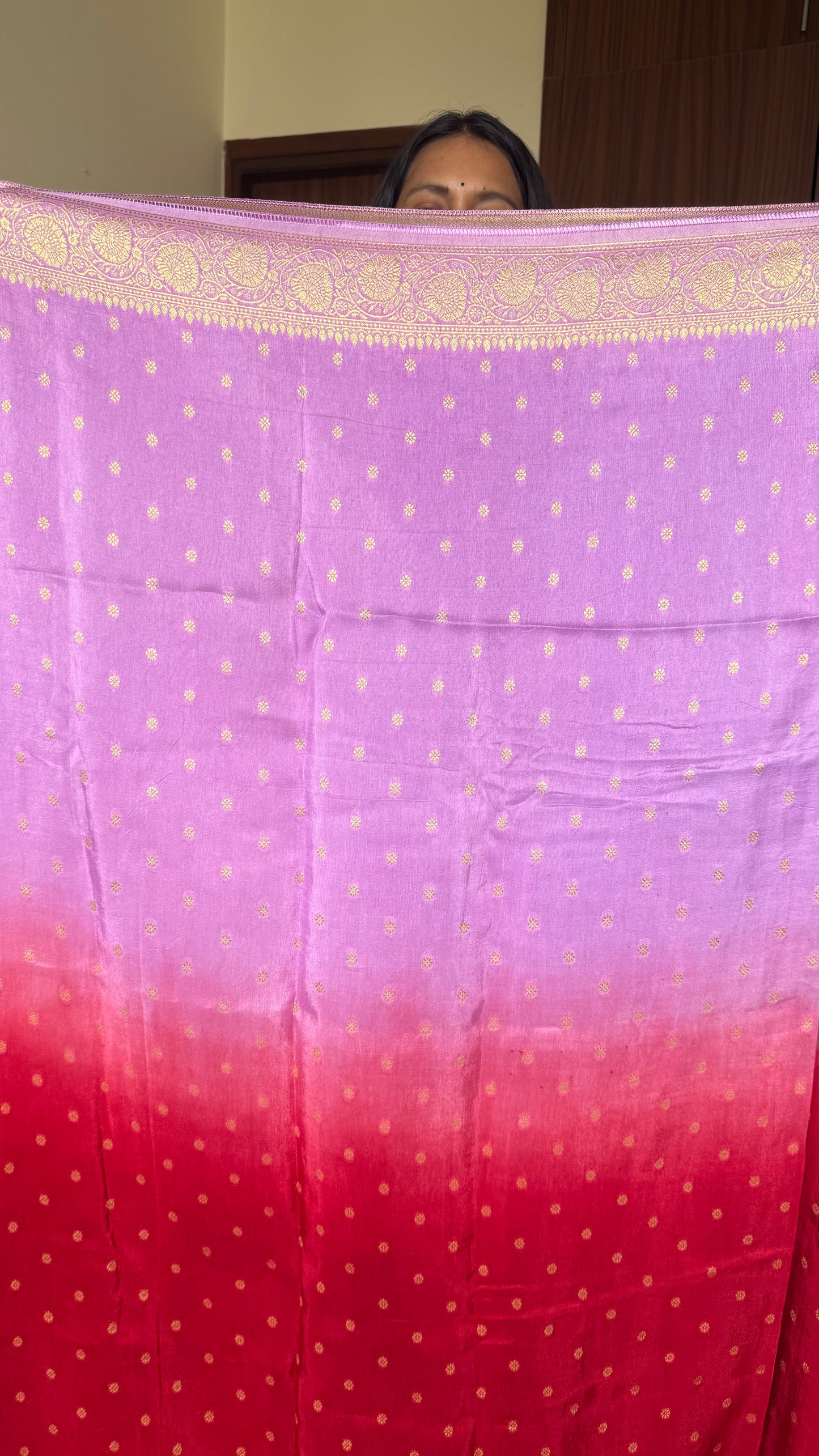 Red & Pink Dual Shade Dola Silk Saree with Zari Border and Pallu (With Blouse)