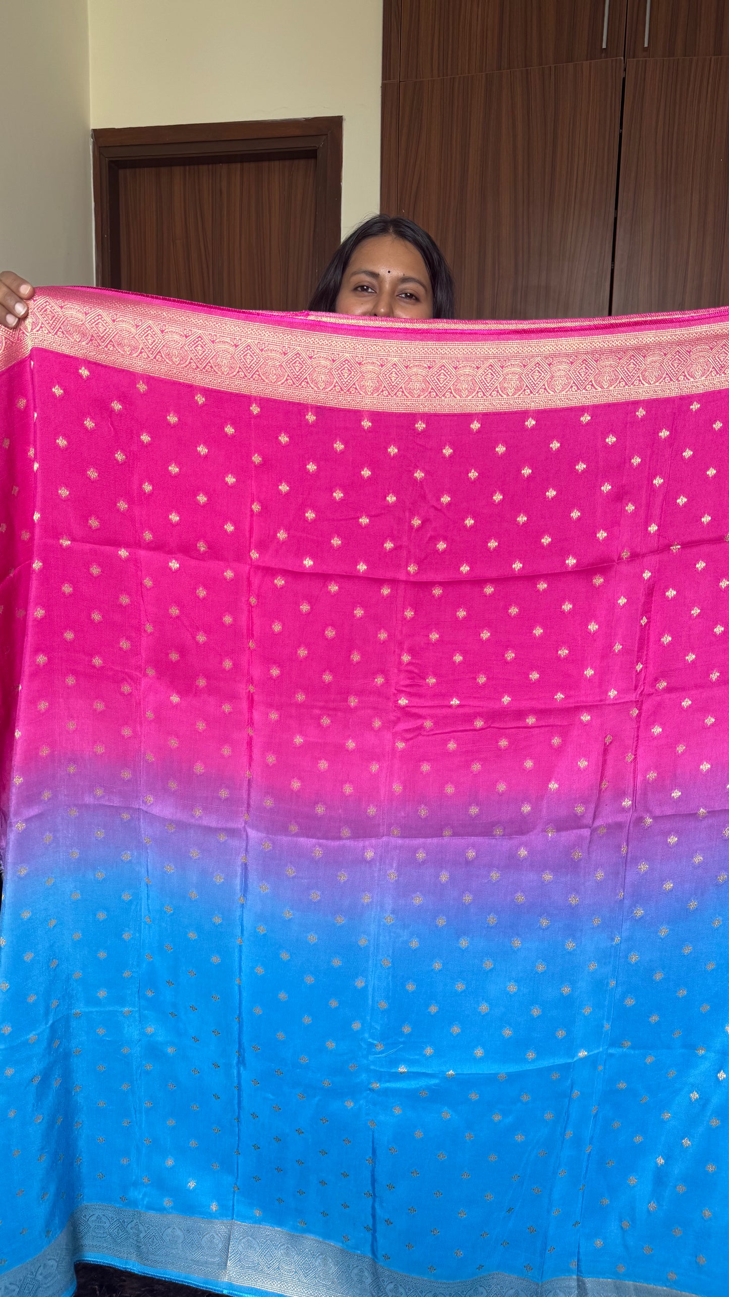 Blue & Pink Dual Shade Dola Silk Saree with Zari Border and Pallu (With Blouse)