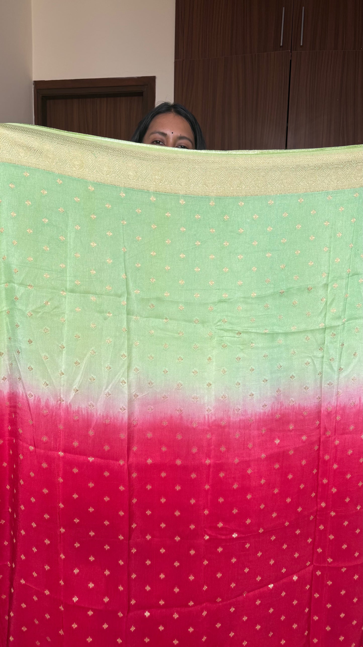 Red & Green Dual Shade Dola Silk Saree with Zari Border and Pallu (With Blouse)