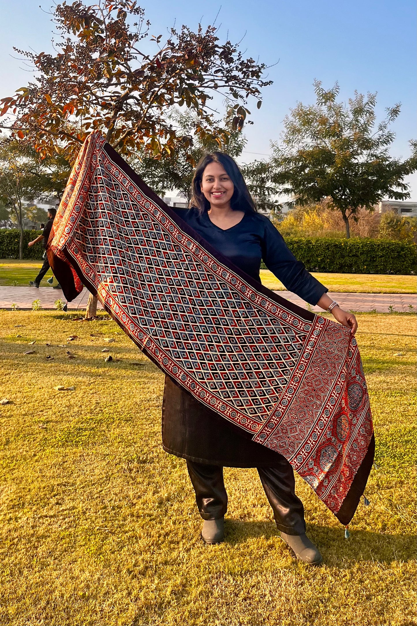Multicolour Grid Motif Ajrakh Hand Block Print Mashru Silk Stole with Tassels