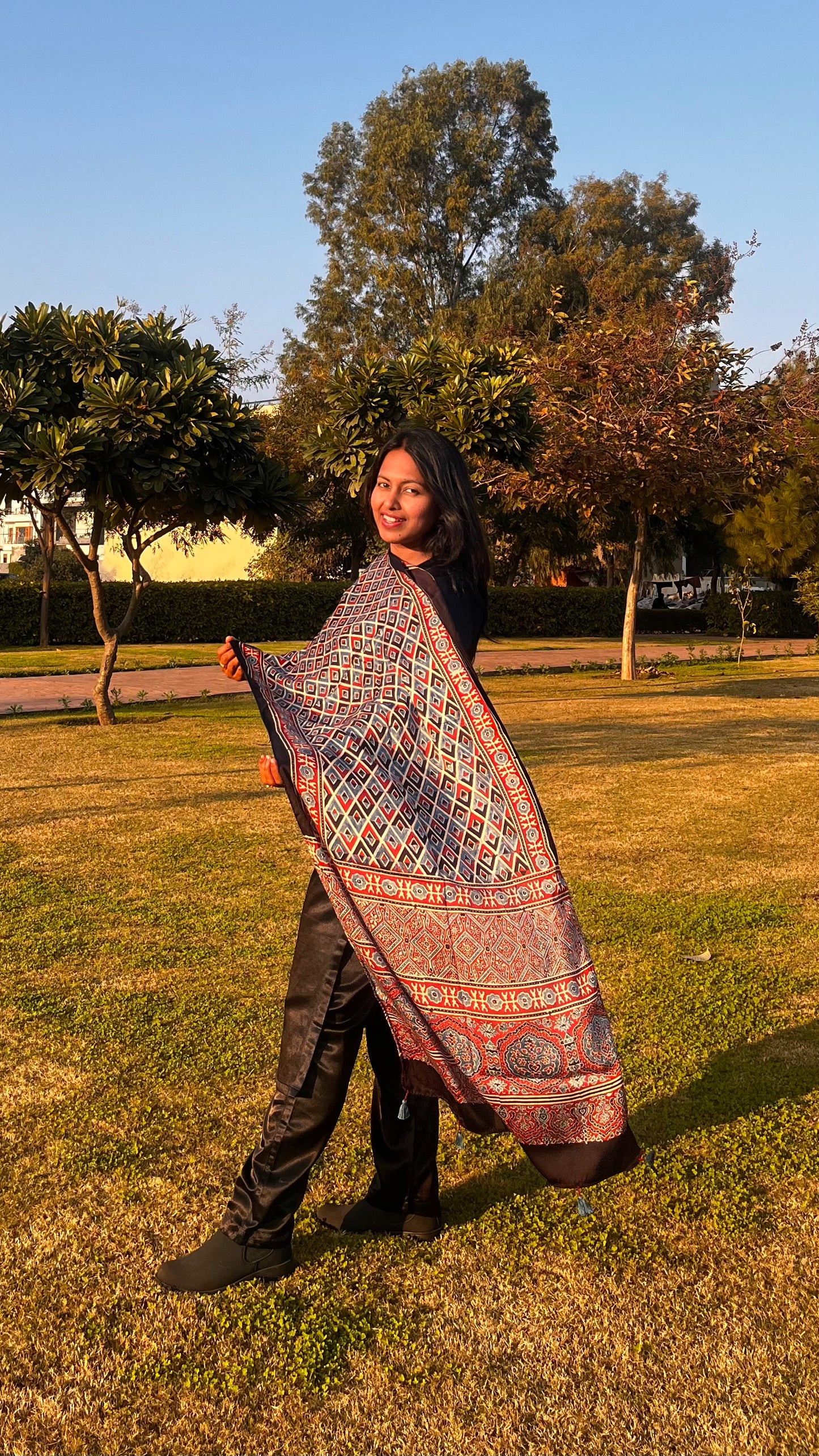 Multicolour Grid Motif Ajrakh Hand Block Print Mashru Silk Stole with Tassels