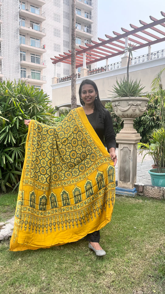 Yellow Grid Motif Ajrakh Handblock Printed Modal Silk Dupatta