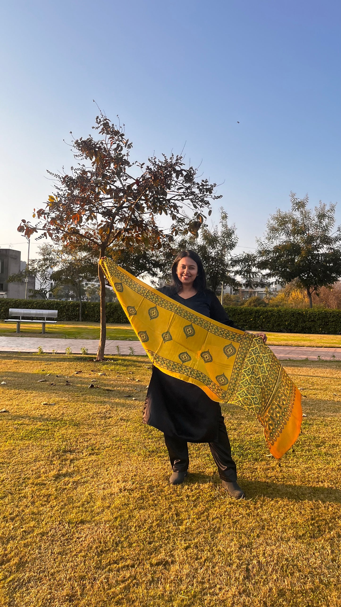 Yellow and Green Diamond Boota Ajrakh Hand Block Print Modal Silk Stole with Tassels