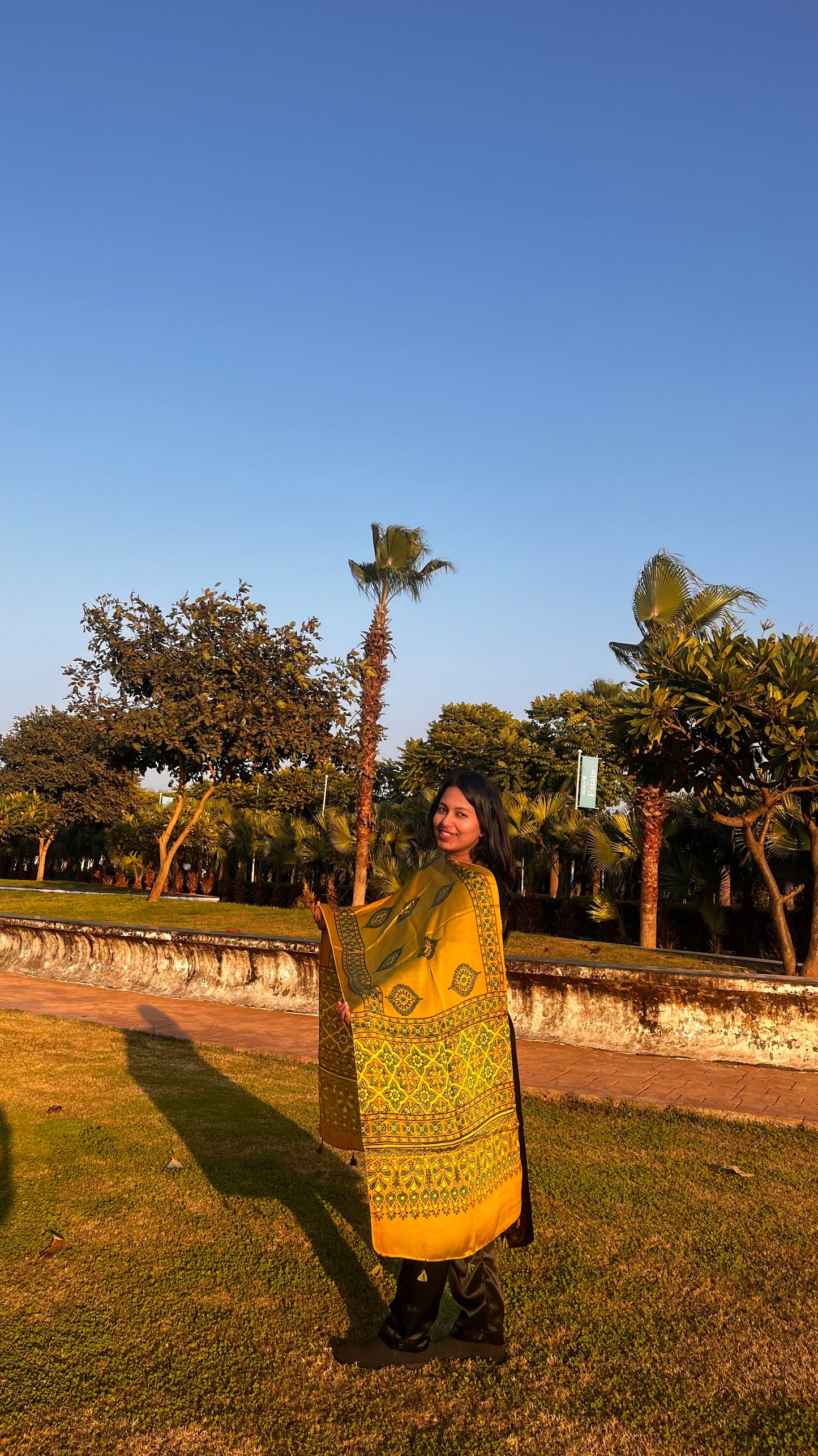 Yellow and Green Diamond Boota Ajrakh Hand Block Print Modal Silk Stole with Tassels