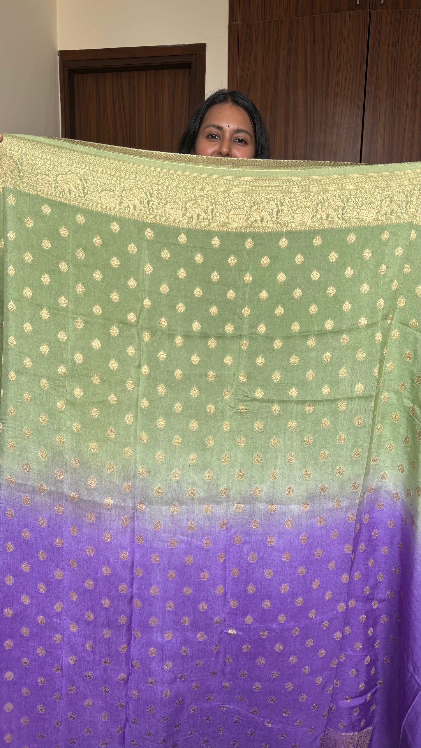 Green & Purple Dual Shade Dola Silk Saree with Zari Border and Pallu (With Blouse)