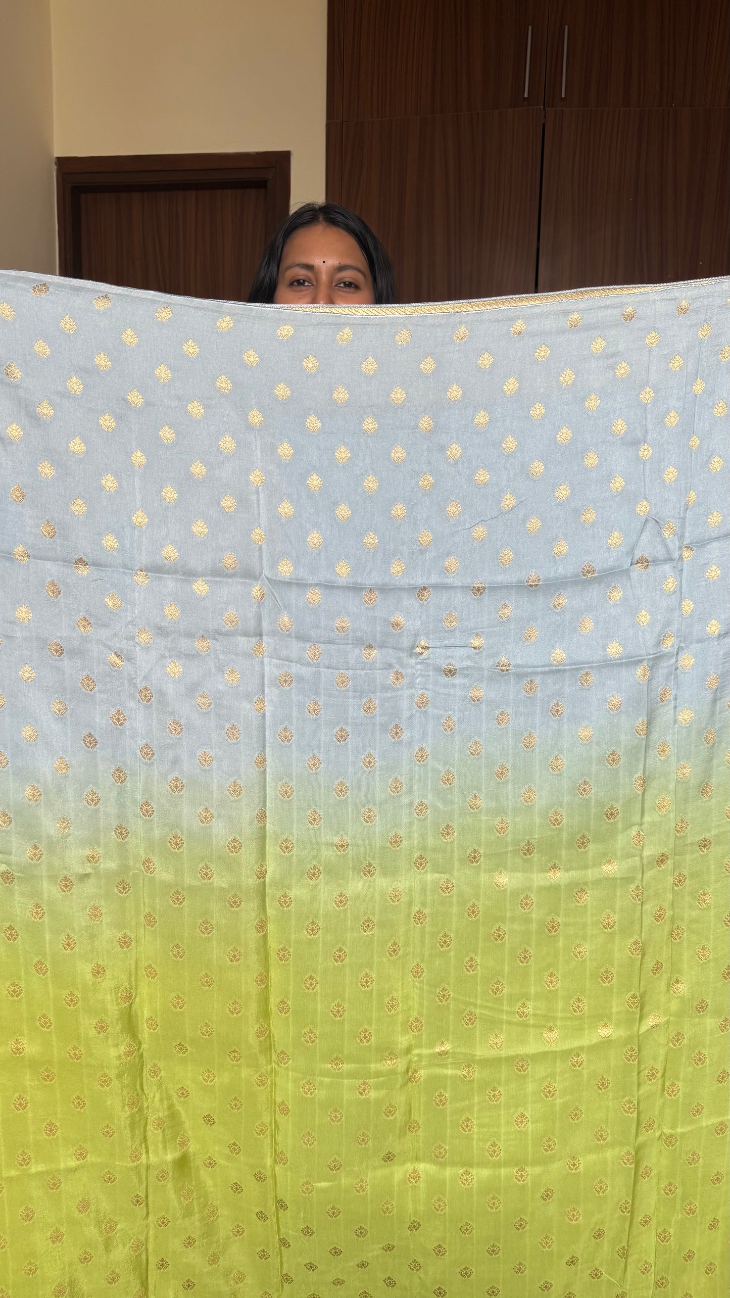 Grey & Green Dual Shade Dola Silk Saree with Zari Border and Pallu (With Blouse)
